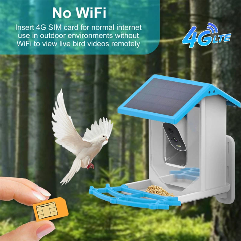 Bird Smart Feeder with Camera 1080P Solar Low Power Night Vision IP66 Waterproof 4G or WIFI Connect Real Bird Species Feeder