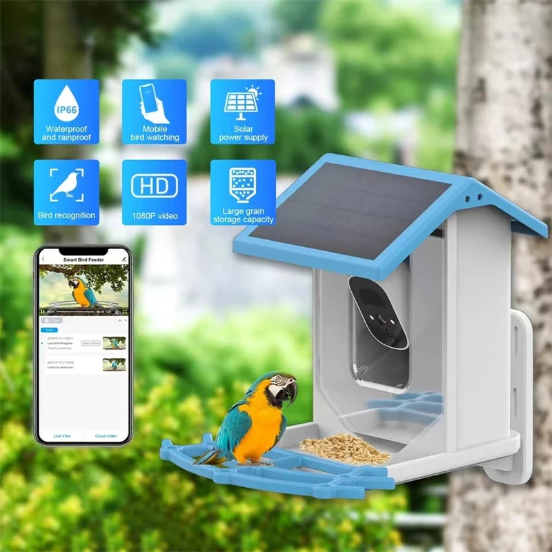 Bird Smart Feeder with Camera 1080P Solar Low Power Night Vision IP66 Waterproof 4G or WIFI Connect Real Bird Species Feeder