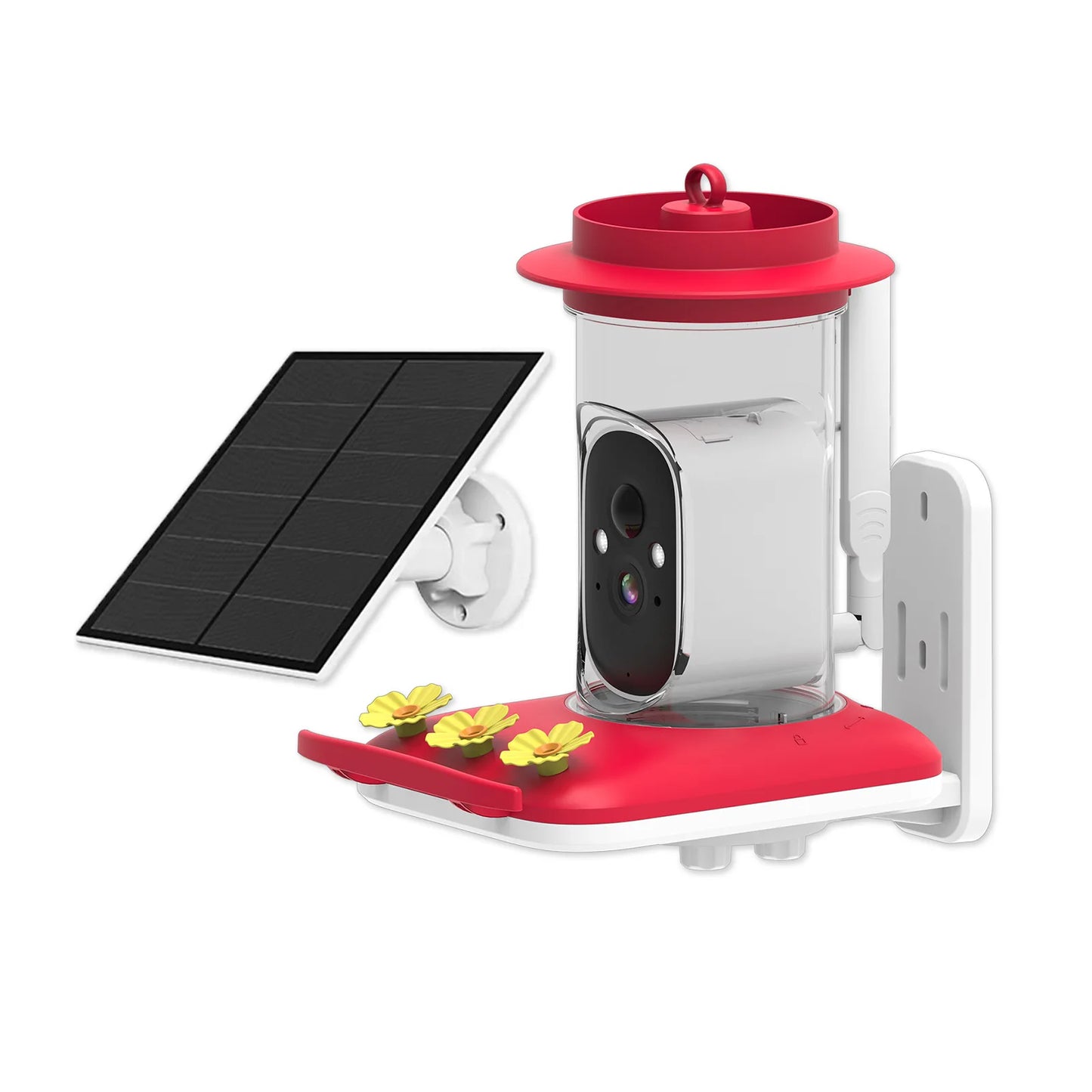 Bird Smart Feeder with Camera 1080P Solar Low Power Night Vision IP66 Waterproof 4G or WIFI Connect Real Bird Species Feeder