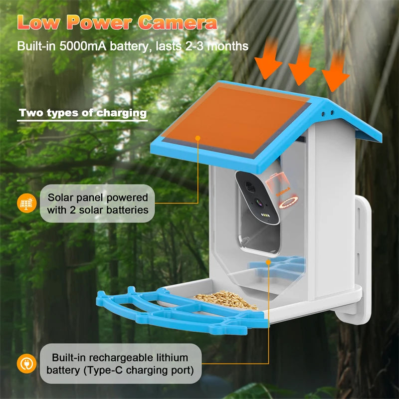 Bird Smart Feeder with Camera 1080P Solar Low Power Night Vision IP66 Waterproof 4G or WIFI Connect Real Bird Species Feeder